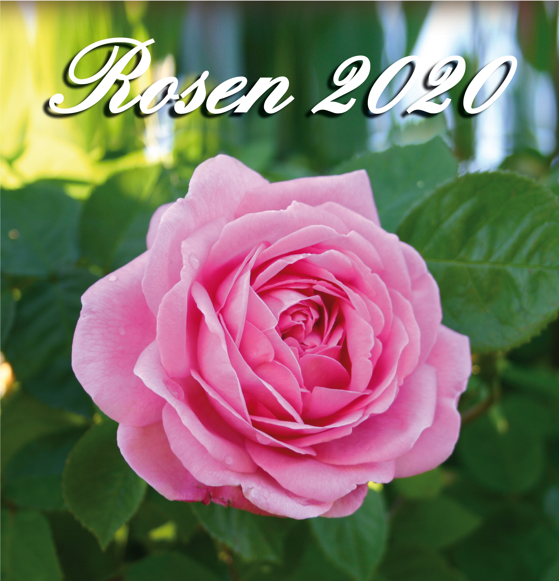 ewig edition - Kalender